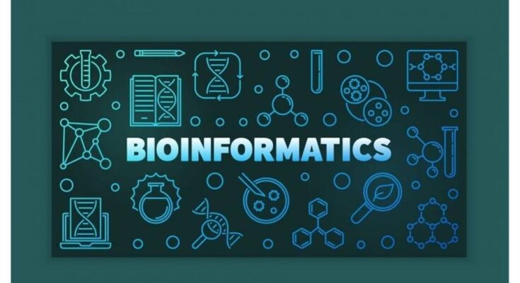 Bioinformatics Market