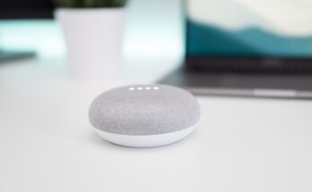 Smart Speakers Market