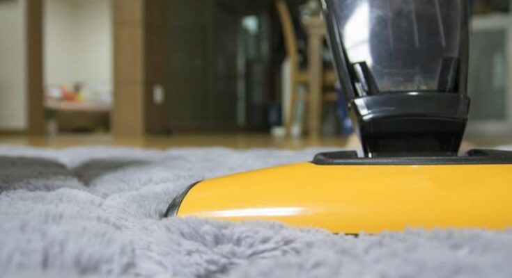 Cordless Vacuum Cleaners Market