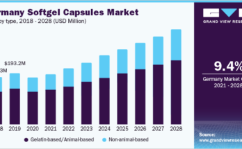 Softgel Capsules Market