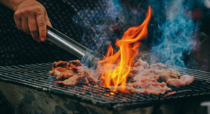 Barbecues And Grills Market