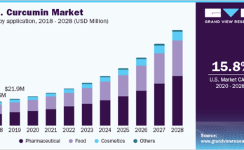 Curcumin Market