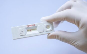 lateral flow immunoassay based rapid test market