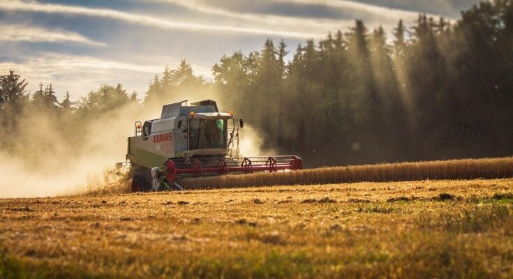 Combines Market