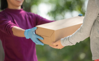 Domestic Couriers Market