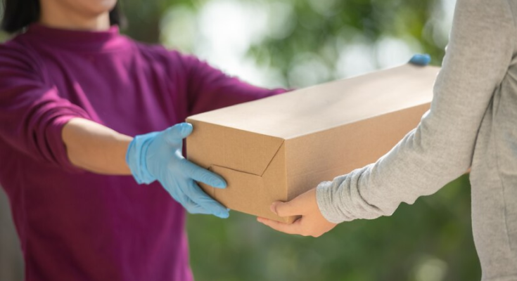 Domestic Couriers Market