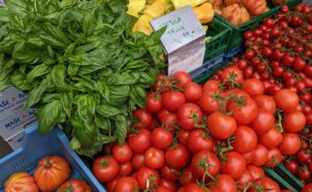 organic food market