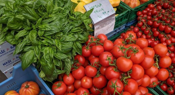 organic food market