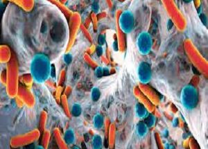 Antimicrobial Coatings Market