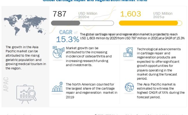 Cartilage Repair Market