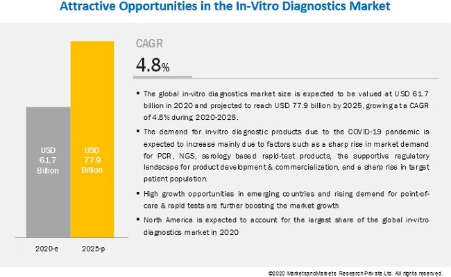 In Vitro Diagnostics Market