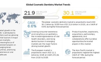 Cosmetic Dentistry Market