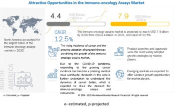 Immuno-Oncology Assays Market