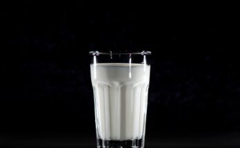 Milk Substitutes (Non Dairy Milk) Market