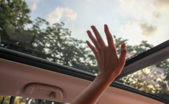 Automotive Sunroof Market