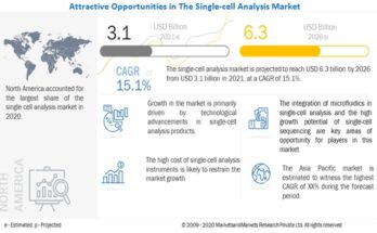 Single-cell Analysis Market