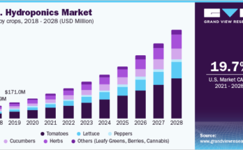 Hydroponics Market