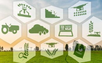 blockchain in agriculture and food supply chain market