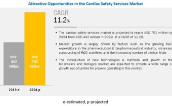 Cardiac Safety Services Market