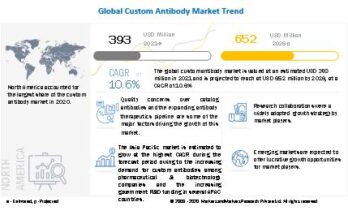 Custom Antibody Market