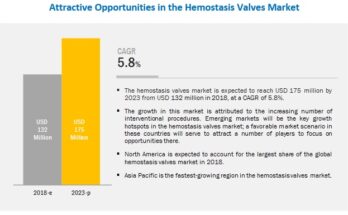 Hemostasis Valve Market