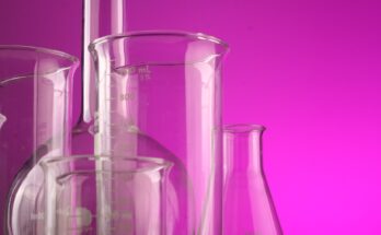 Ethylene Vinyl Acetate Market