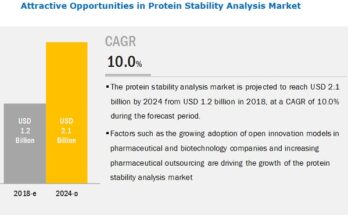 Protein Stability Analysis Market