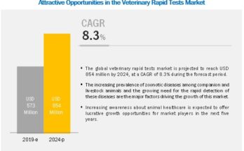 Veterinary Rapid Test Market