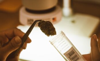 Cannabis Testing Market