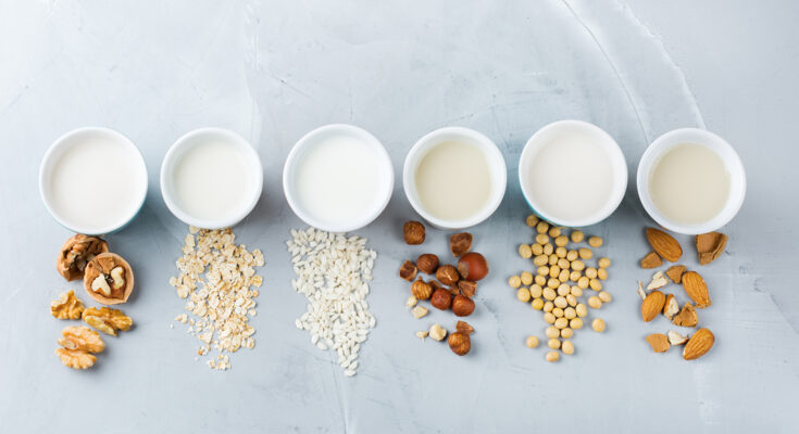 Dairy Alternatives Market Report