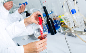 Food and Beverage Testing Kits Market