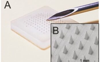 microneedle drug delivery systems market segmentation