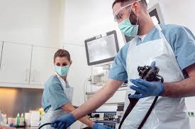 endoscopy devices and equipment market segmentation