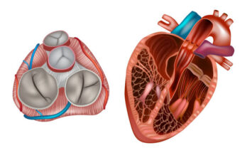 prosthetic heart valve devices and equipment market