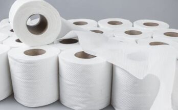 sanitary paper product market segmentation