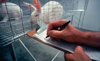 animal testing and non-animal alternative testing market segmentation