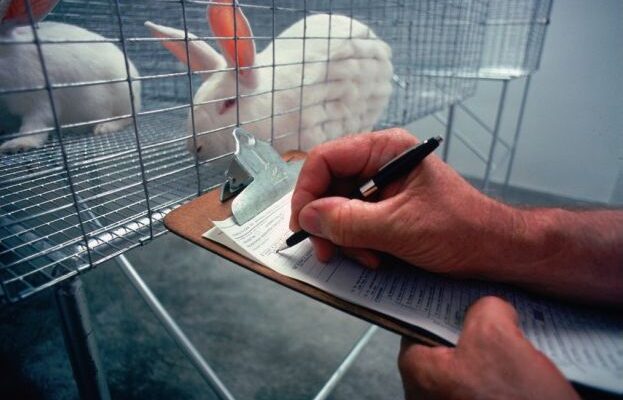 animal testing and non-animal alternative testing market segmentation