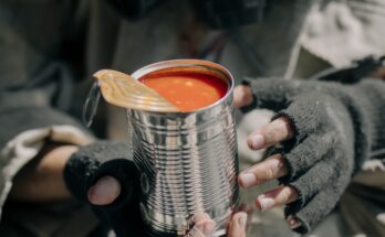 Frozen, Canned And Dried Food Market