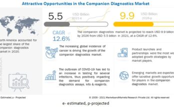 Companion Diagnostics Market