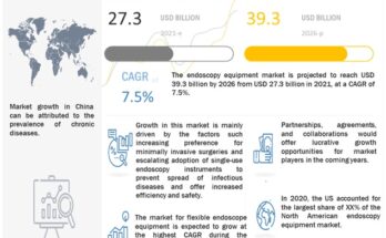 Endoscopy Equipment Market