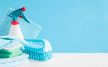 household cleaning products market