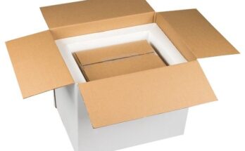 cold chain packaging market