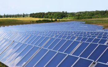 solar district heating market