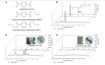 amorphous polypropylene terephatalate market segmentation