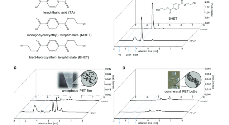 amorphous polypropylene terephatalate market segmentation