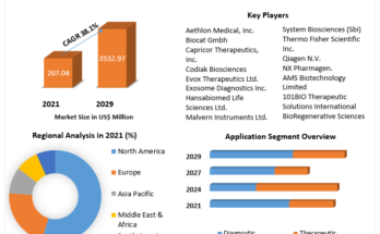 Exosome-Diagnostic-and-Therapeutic-Market-1