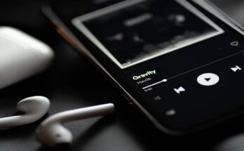 India Music Streaming Market Analysis