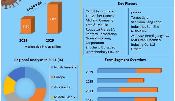 Maltodextrin Market