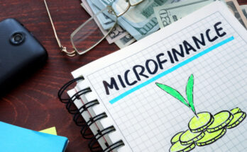 Microfinance institutions (MFIs) were developed to provide smaller credit facilities than larger financial institutions like banks. This is because, most times, individuals with lesser economic means cannot meet the criteria of these other institutions. These people sometimes have no access to banking institutions due to their location.