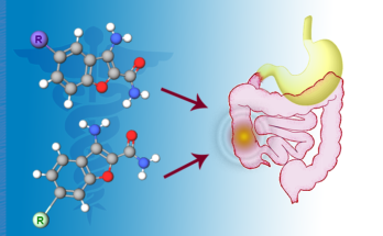 inflammatory bowel disease treatment market segmentation